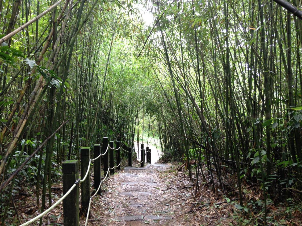 Alishan Mao Hsin Fenchihu Exterior photo